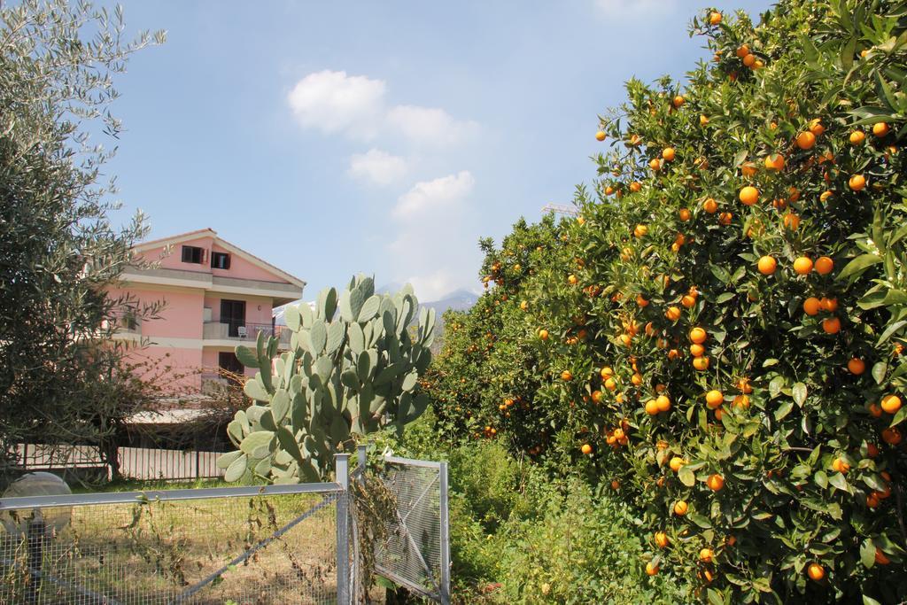 Вилла Gli Aranci Dell'Etna Маскали Экстерьер фото